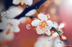 2018腊八节祝福语图片 最精美的腊八节图片代我祝